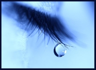 aimer